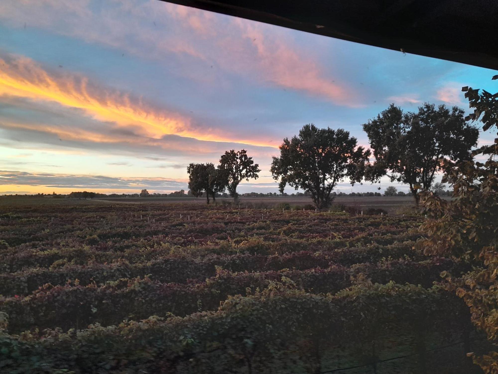 Agriturismo Casa Carpanelli Nonantola ภายนอก รูปภาพ