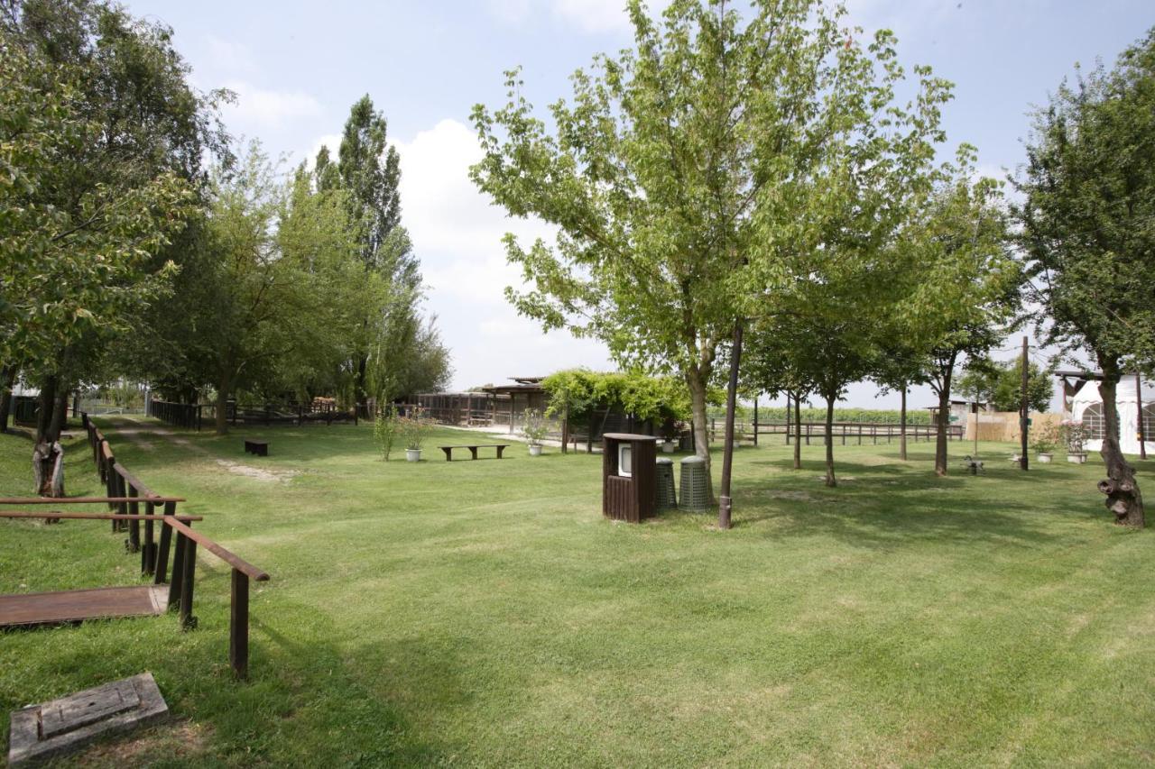 Agriturismo Casa Carpanelli Nonantola ภายนอก รูปภาพ