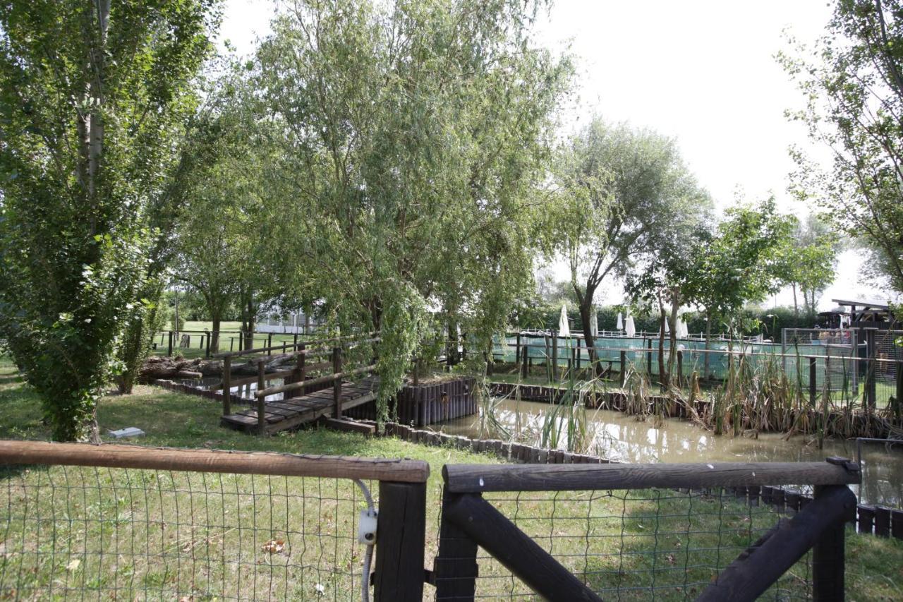 Agriturismo Casa Carpanelli Nonantola ภายนอก รูปภาพ
